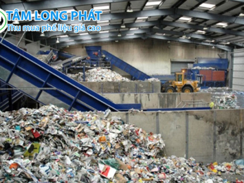 2025 – Năm bùng nổ ngành tái chế phế liệu: Bước ngoặt của nền kinh tế xanh