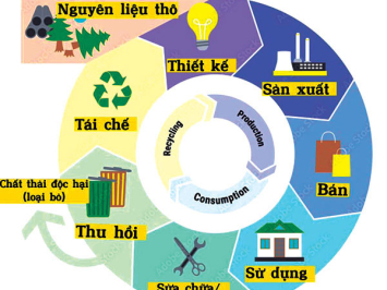 Tái chế – Giải pháp vàng cho nền kinh tế tuần hoàn năm 2025