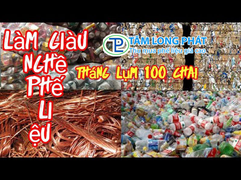 Người bán ve chai kiếm trăm triệu/tháng – Sự thật hay tin đồn?