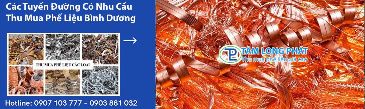 Các Tuyến Đường Có Nhu Cầu Thu Mua Phế Liệu Bình Dương