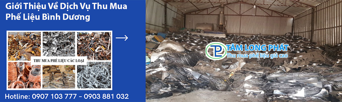 Giới Thiệu Về Dịch Vụ Thu Mua Phế Liệu Bình Dương