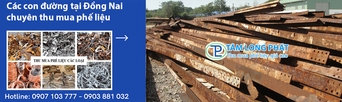 Các con đường tại Đồng Nai chuyên thu mua phế liệu