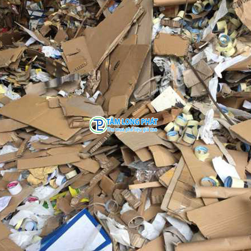 Giấy Vụn, Bìa Carton Có Phải Là Phế Liệu? Giá Trị Kinh Tế Của Chúng