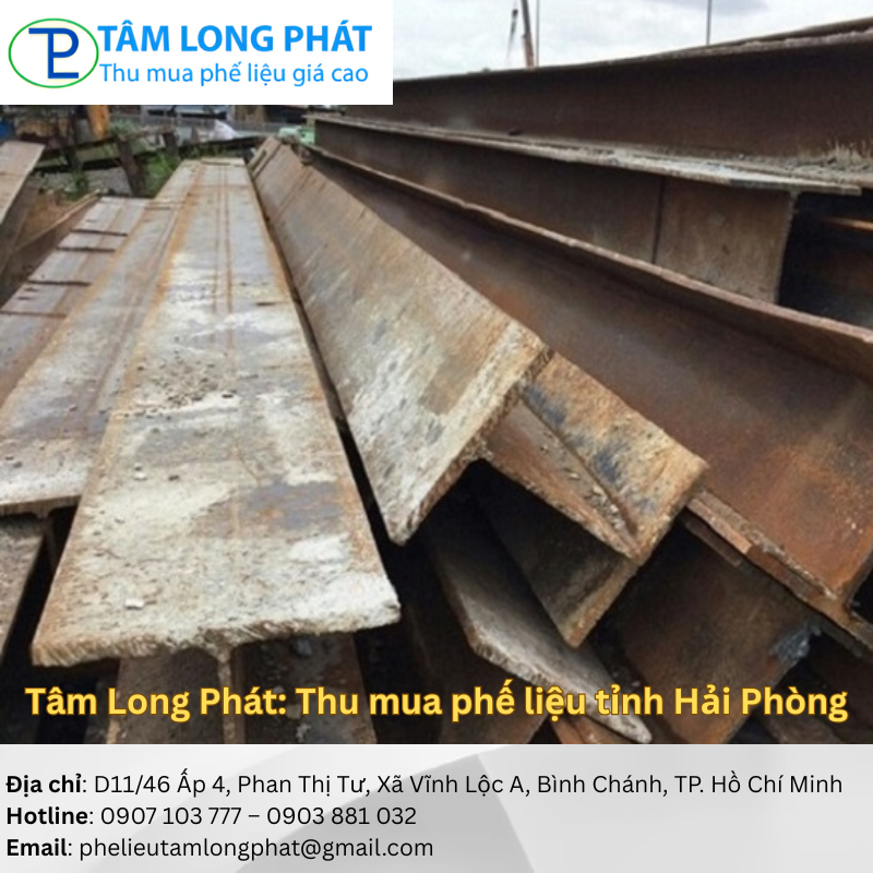 Tâm Long Phát: Thu mua phế liệu tỉnh Hải Phòng