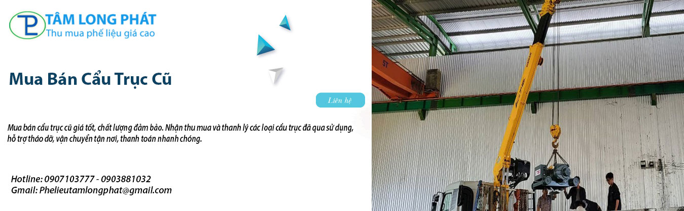 Mua Bán Cẩu Trục Cũ