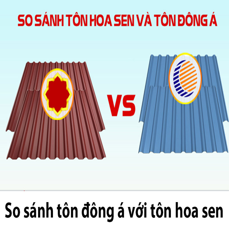So sánh Tôn Đông Á và Tôn Hoa Sen có gì giống và khác nhau?