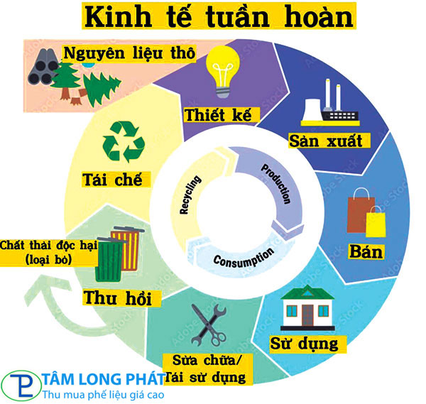 Tái chế – Giải pháp vàng cho nền kinh tế tuần hoàn năm 2025