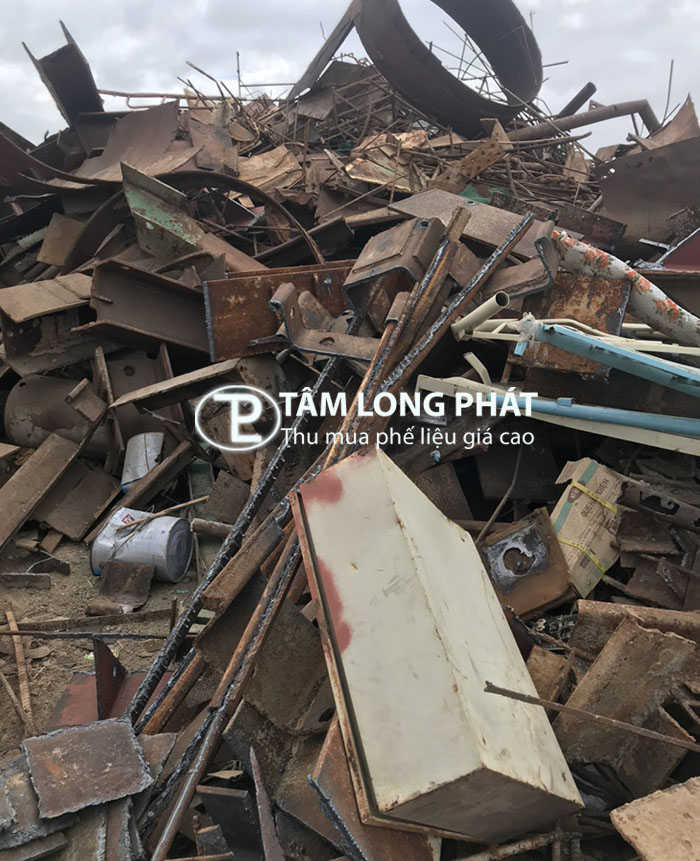 mua-phe-lieu-gia-cao-moi-nhat