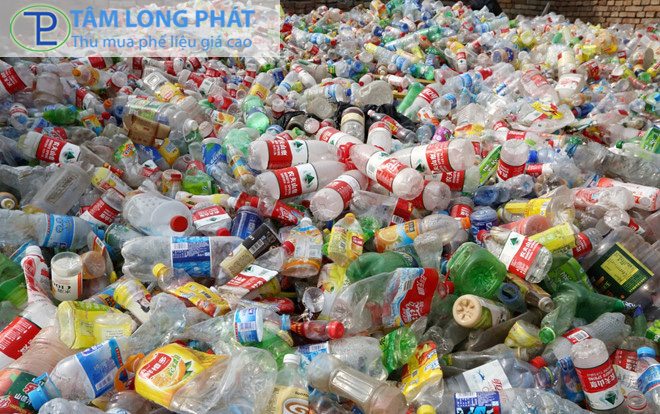 Nhựa Ve Chai Bao Nhiêu 1kg? Giá Thu Mua Nhựa Ve Chai Hiện Nay Và Những Điều Cần Biết