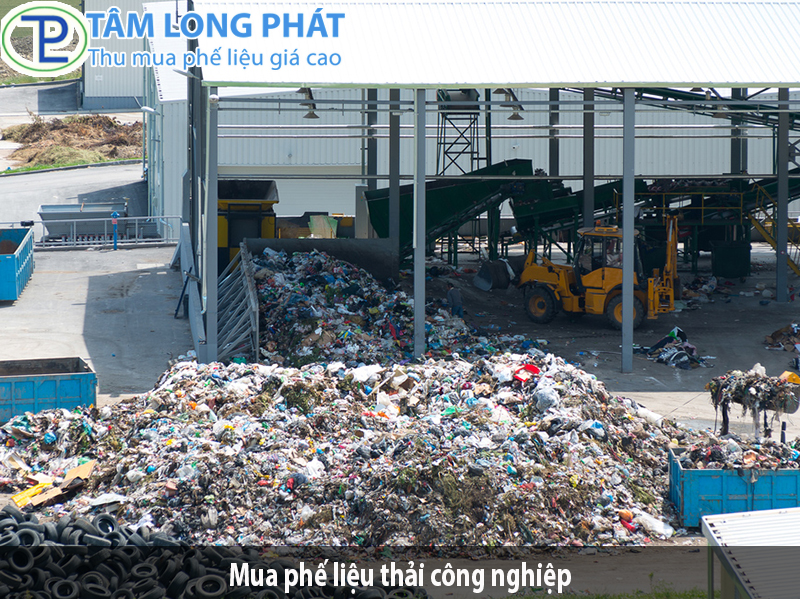 mua-phe-lieu-thai-cong-nghiep