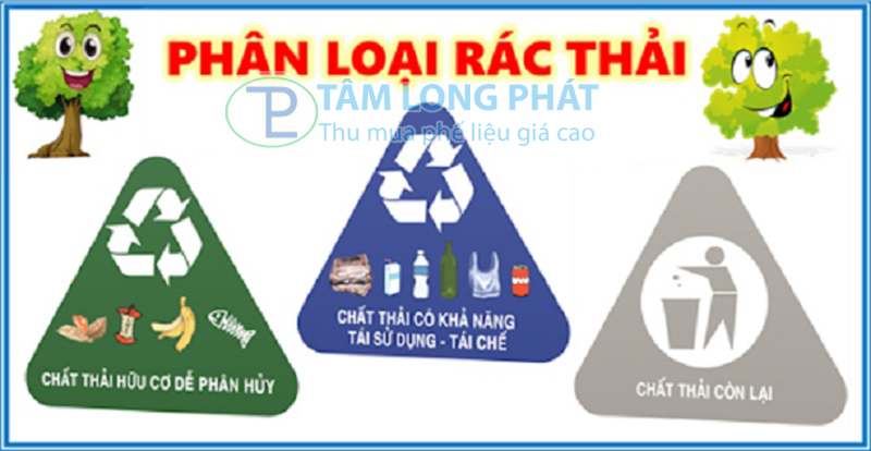 Rác hữu cơ, rác vô cơ và rác tái chế là gì?