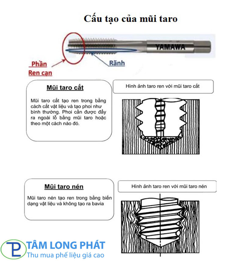 Taro là gì? Cấu tạo, phân loại và ứng dụng mũi taro