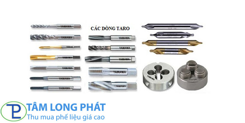 Taro là gì? Cấu tạo, phân loại và ứng dụng mũi taro