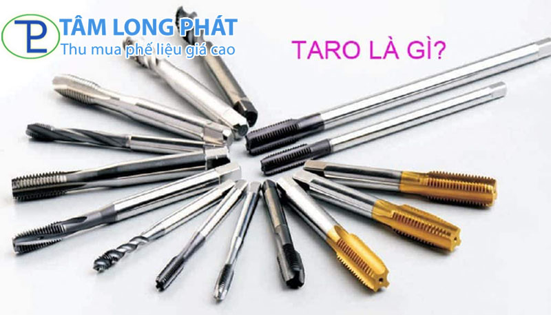 Taro là gì? Cấu tạo, phân loại và ứng dụng mũi taro