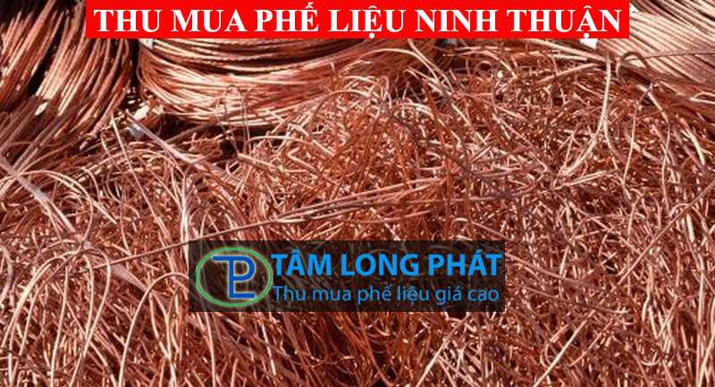 Thu mua phế liệu Ninh Thuận